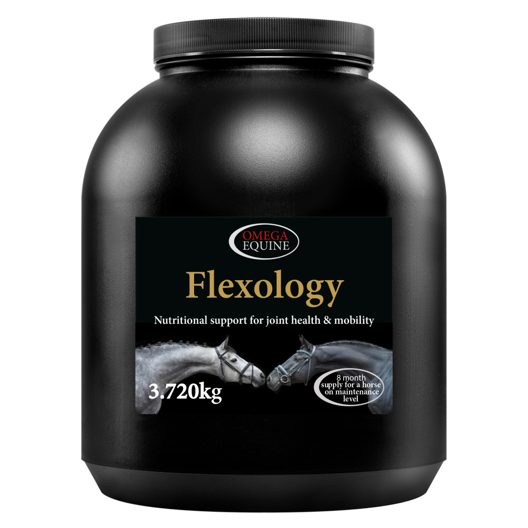 Omega Flexology