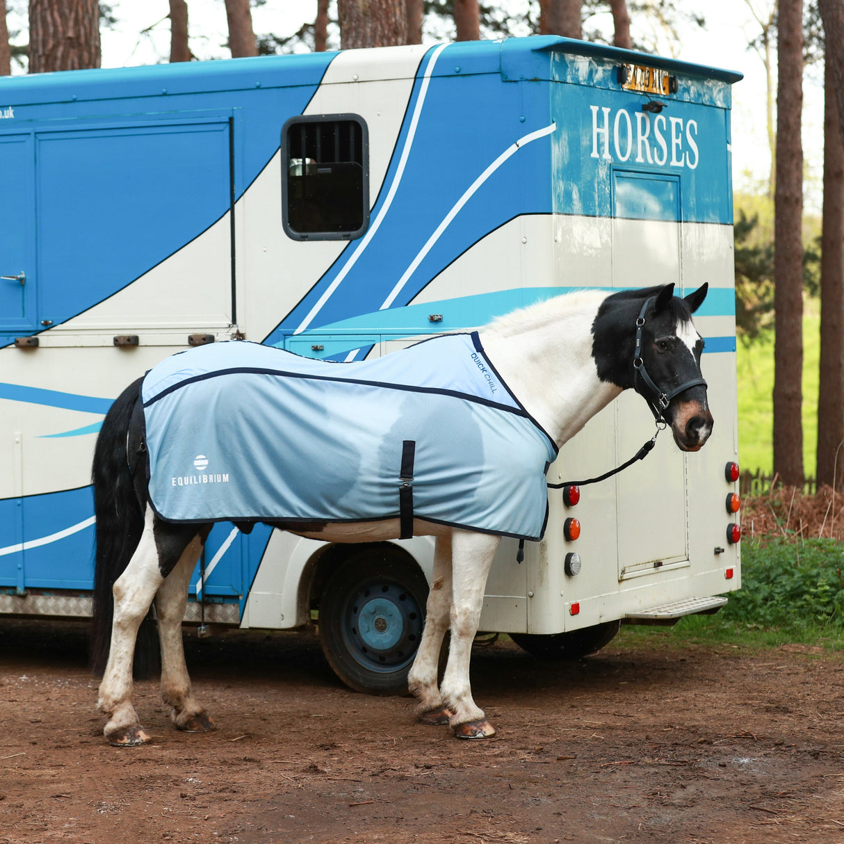 Equilibrium Quick Chill Rug