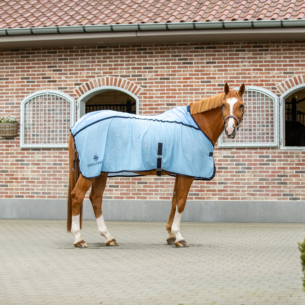 Equilibrium Quick Chill Rug