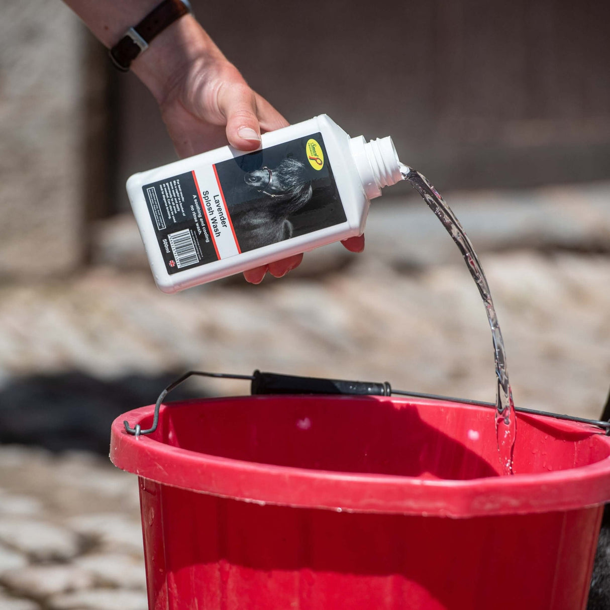 Smart Grooming Lavender Splosh Wash