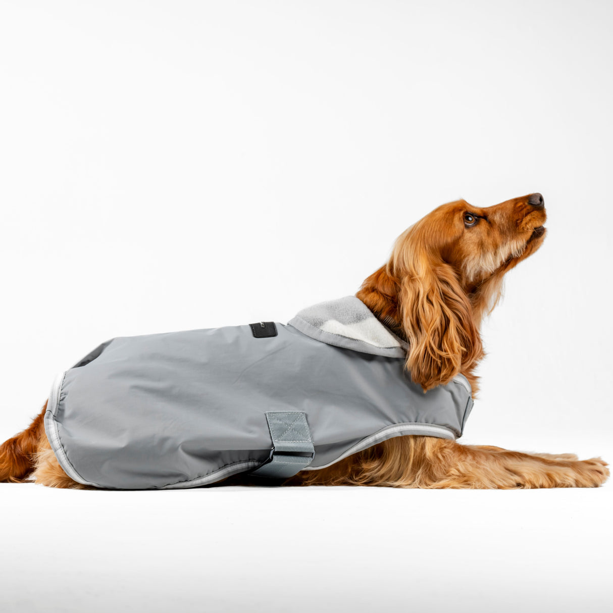 Horseware Ireland Newmarket Dog Coat #colour_witney-charcoal