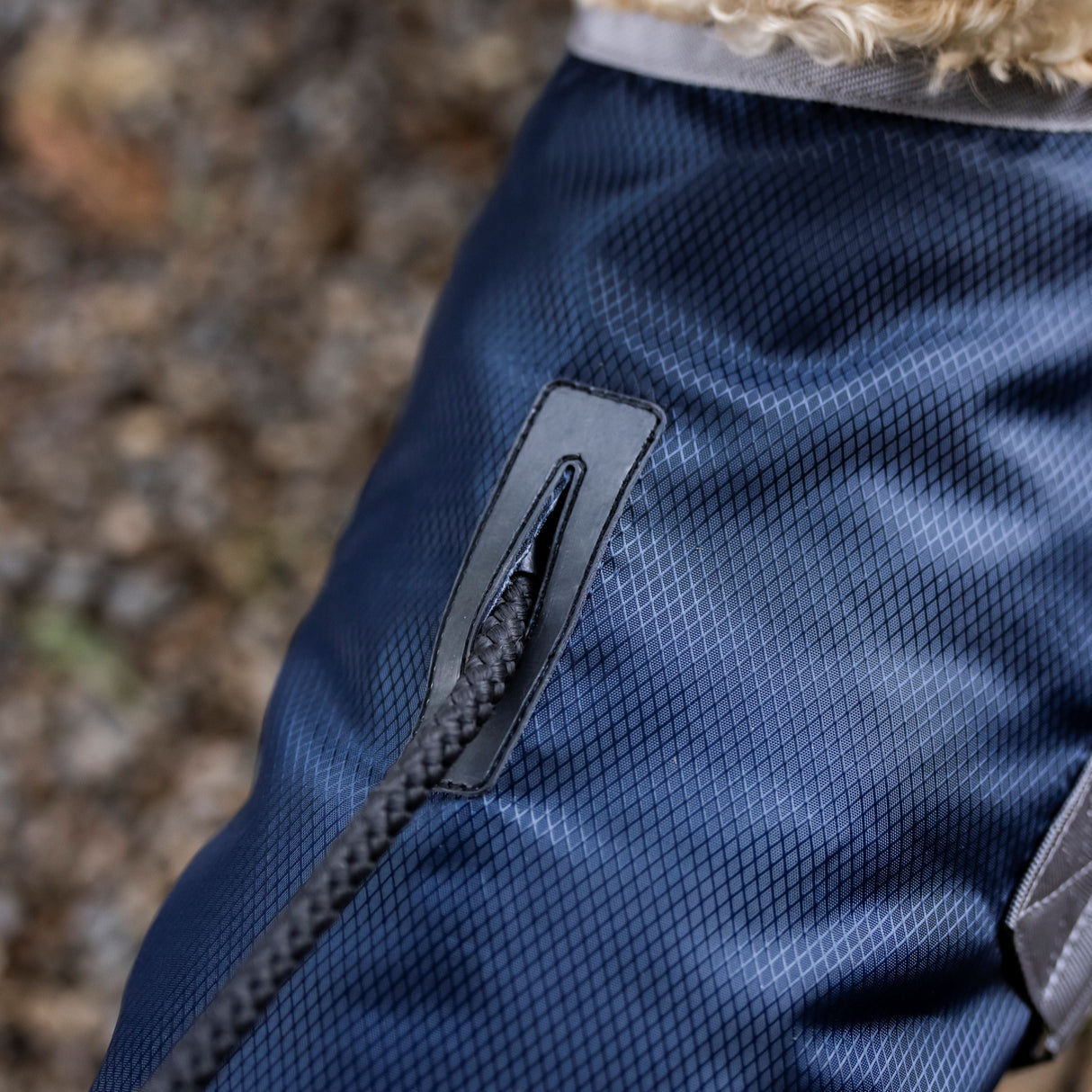 Horseware Ireland Ionic 50g Therapy Dog Coat #colour_imperial-blue-silver-navy