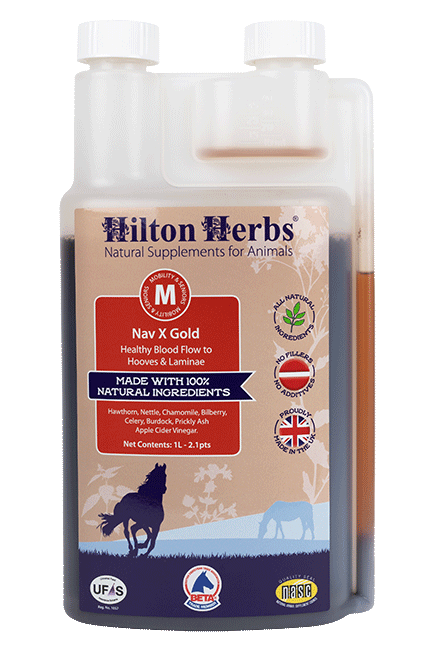 Hilton Herbs Nav X Gold