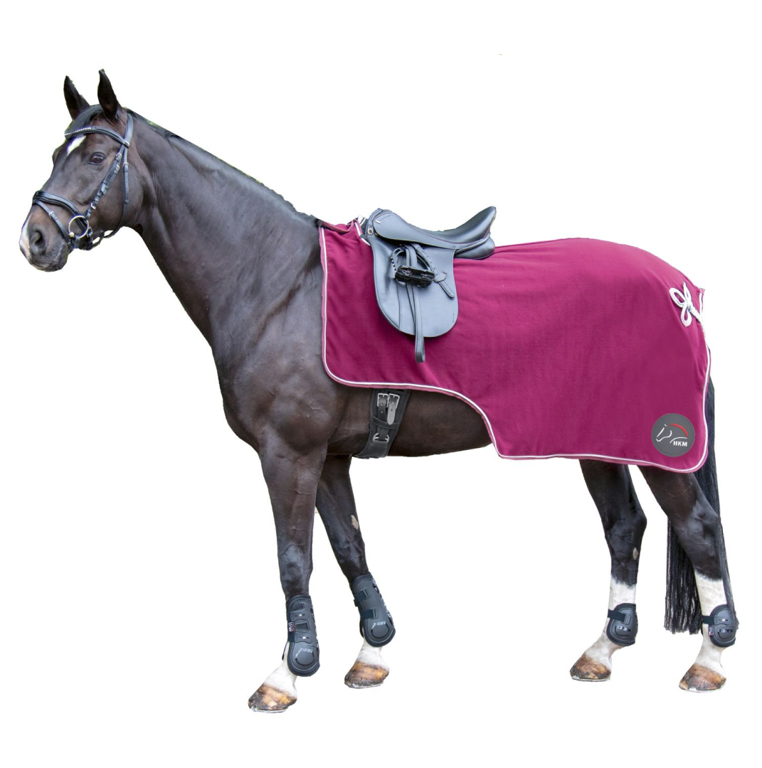 HKM Exercise sheet #colour_dark-red