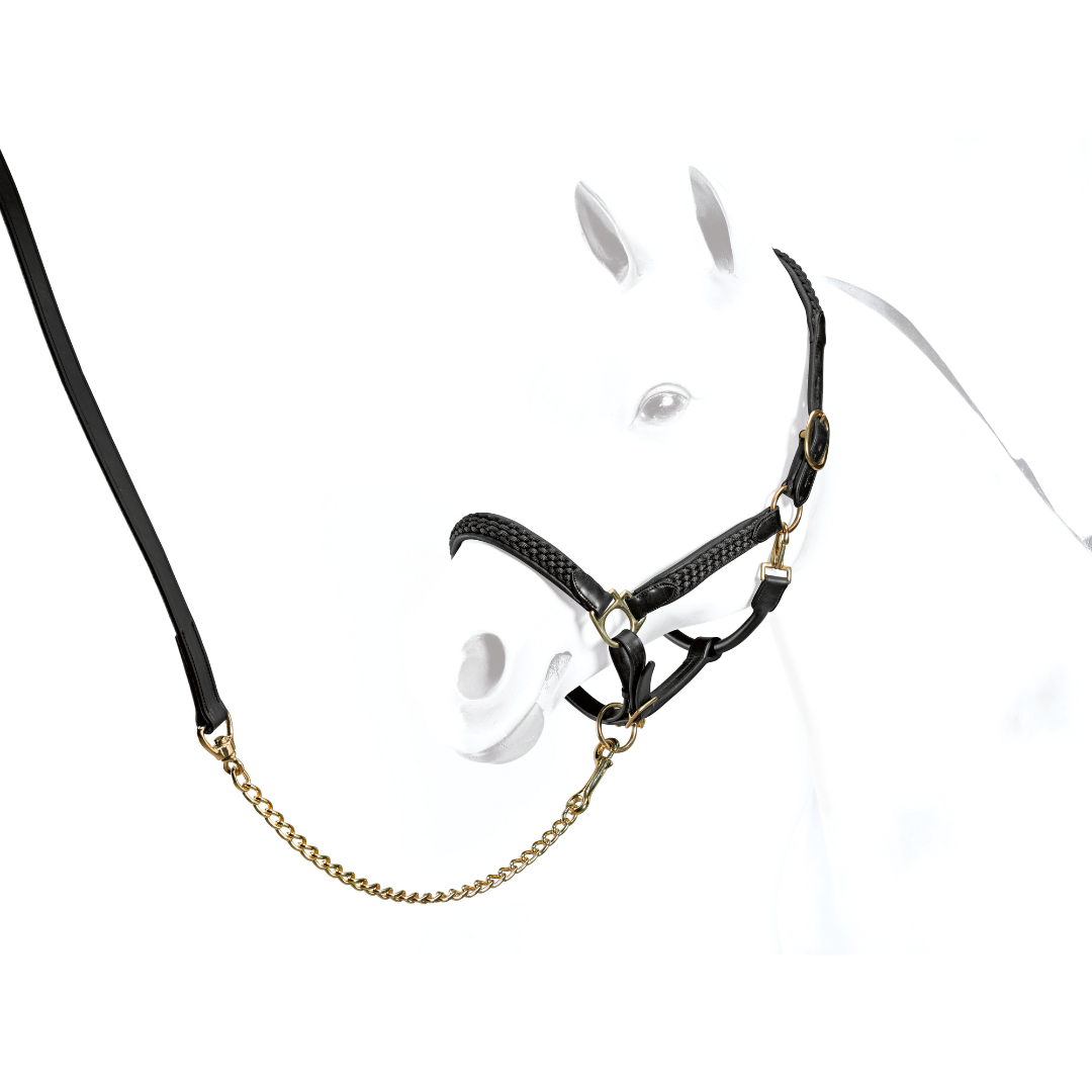 Equipe Heavy Braiding Halter #colour_black