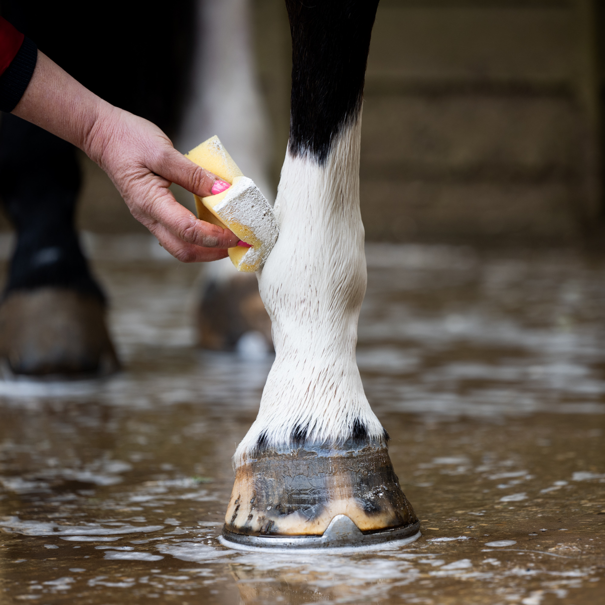 Smart Grooming Leg & Body Whitener