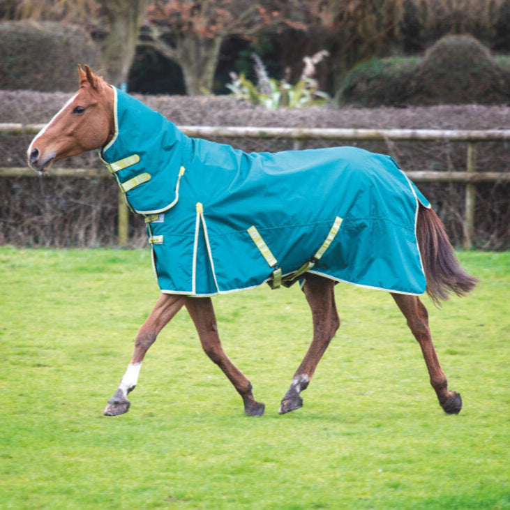 Ontario 100g Combo Turnout Rug #colour_green