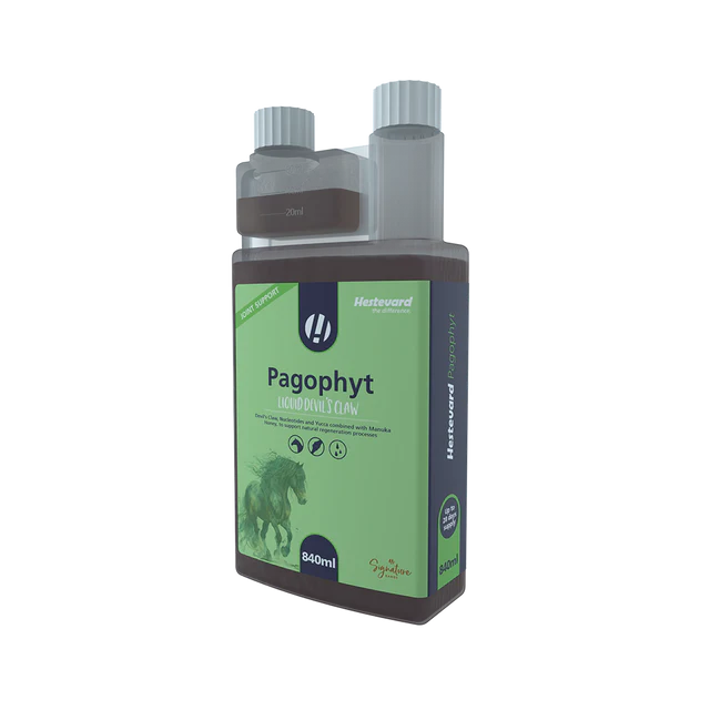 Hestevard Pagophyt