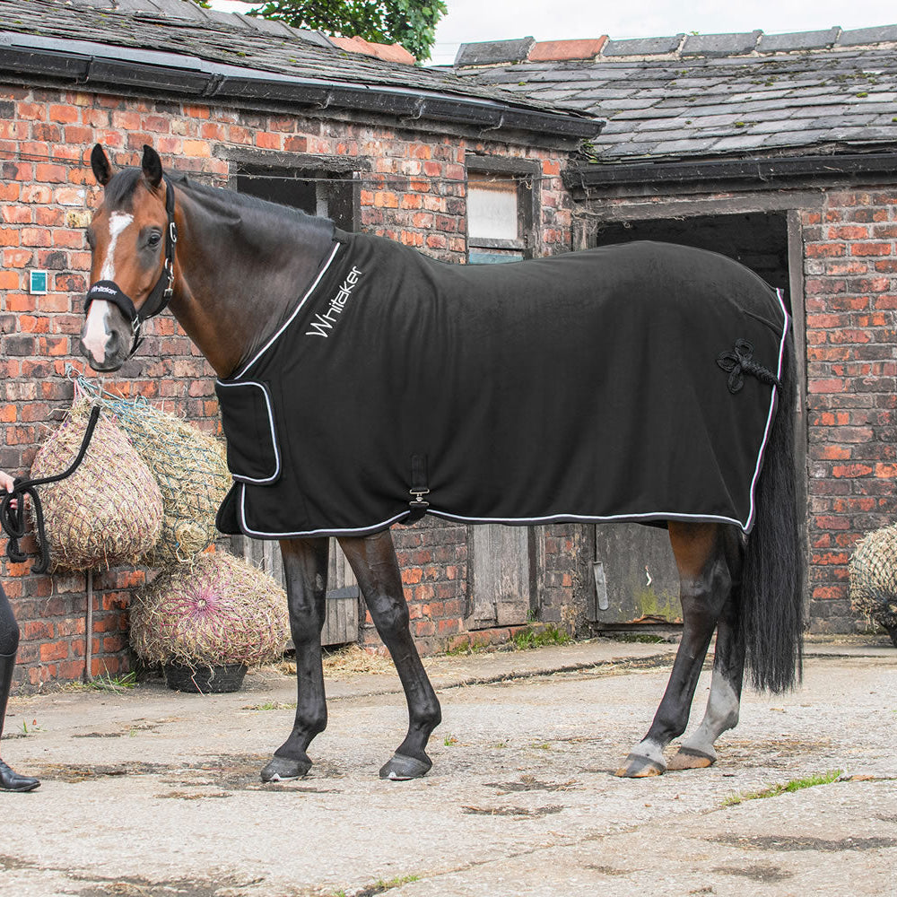 Whitaker Club Show Rug #colour_black