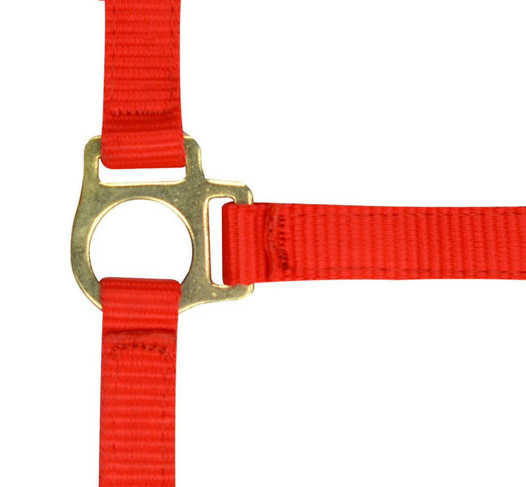 Norton Foal Headcollar Lead Rope