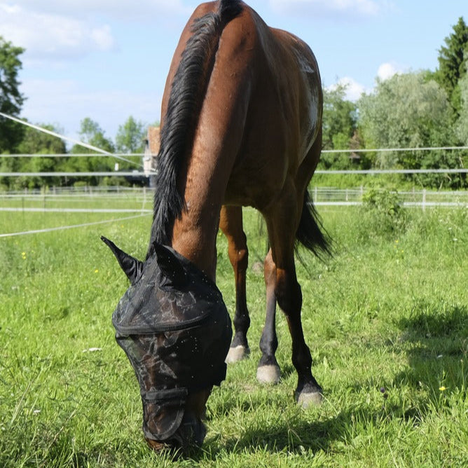 Equitheme Protec Fly Mask #colour_black