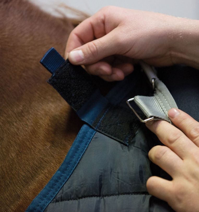 Horseware Ireland Liner 200g