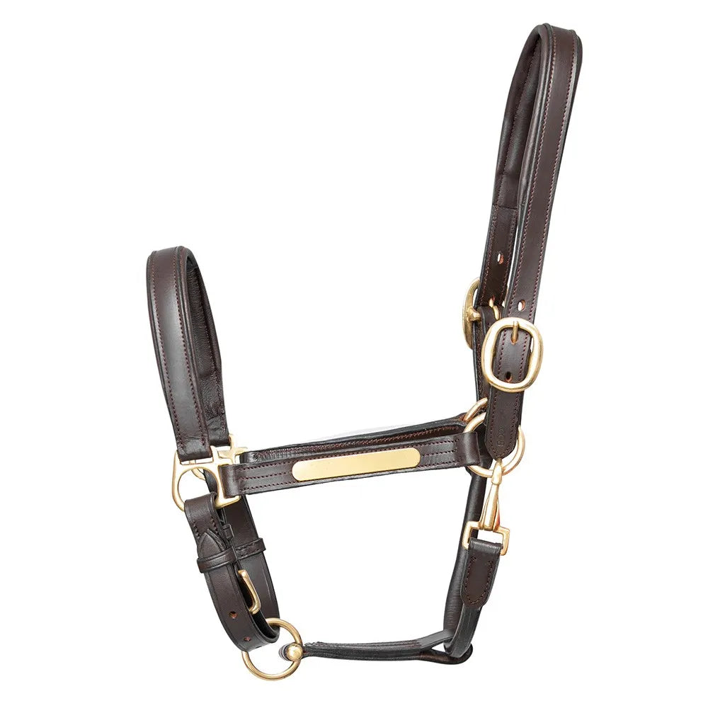 Hy Leather Head Collar