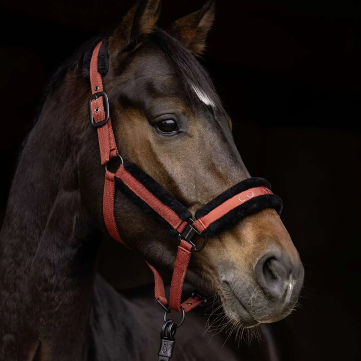 Covalliero Fleece Head Collar #colour_rust
