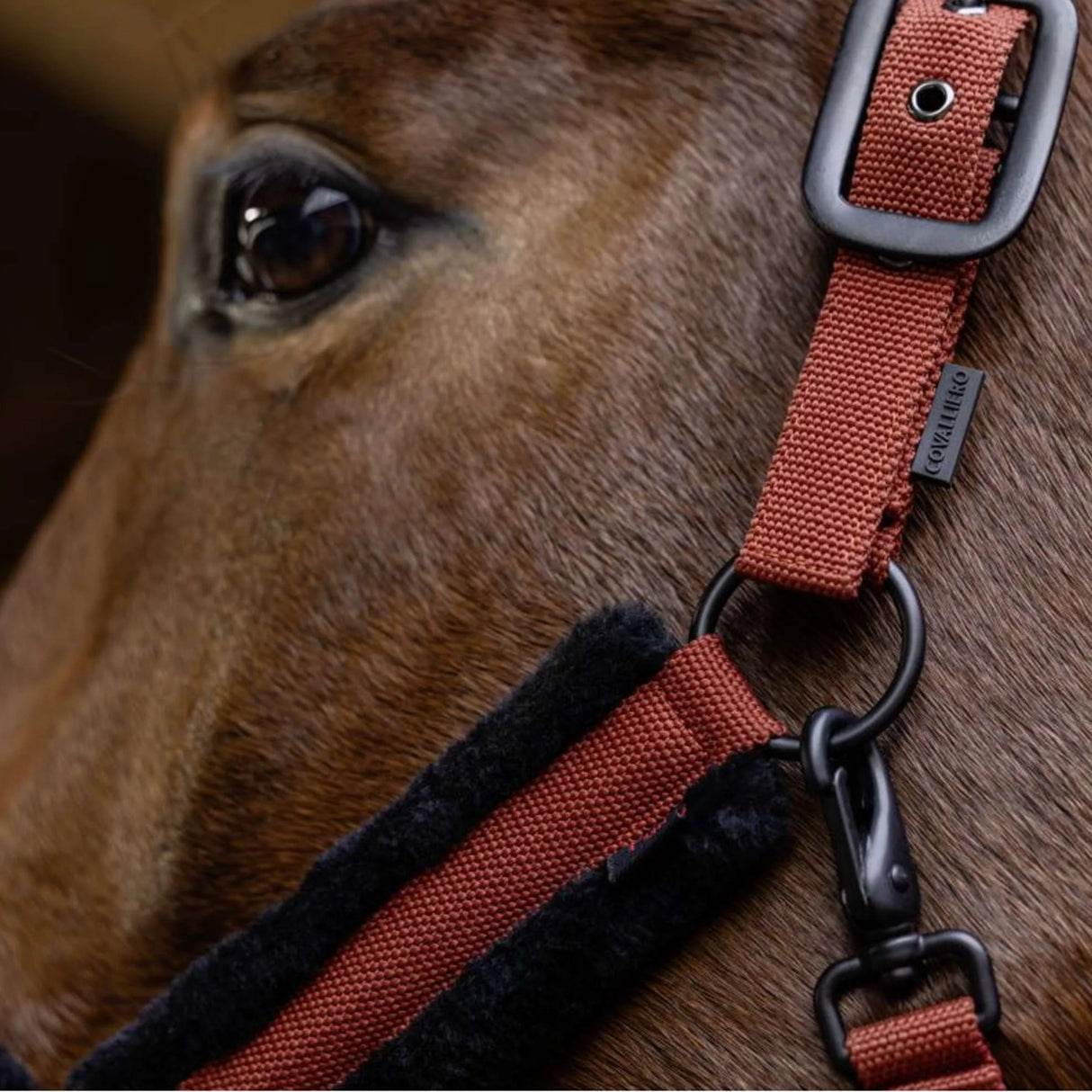 Covalliero Fleece Head Collar #colour_rust