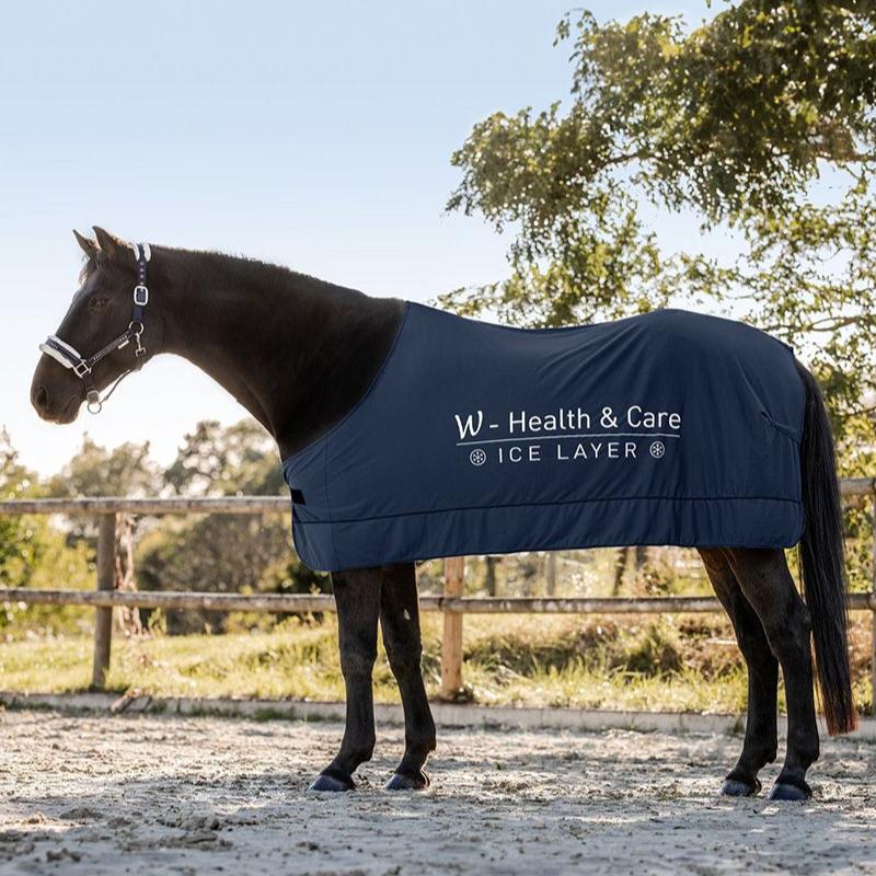 Waldhasuen W-Health & Care Ice Layer Rug #colour_night-blue