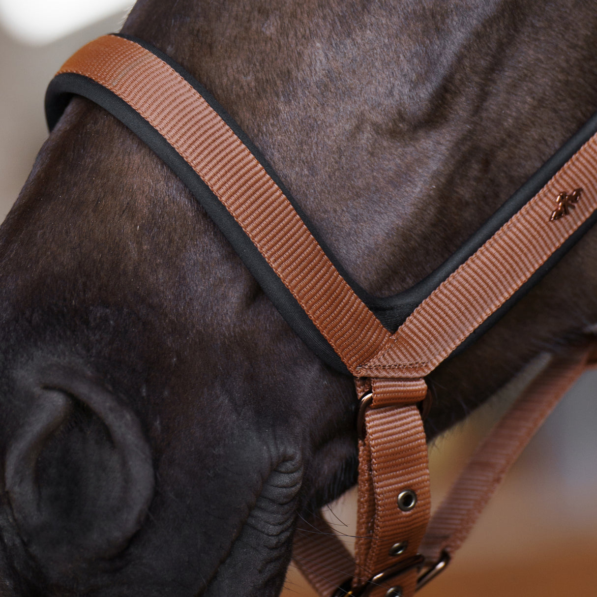 HV Polo Essential Headcollar #colour_fox