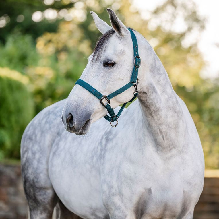 Horseware Ireland Headcollar & Leadrope #colour_dynasty-green