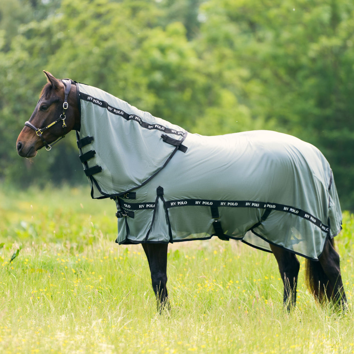 HV Polo Nena Fly Blanket