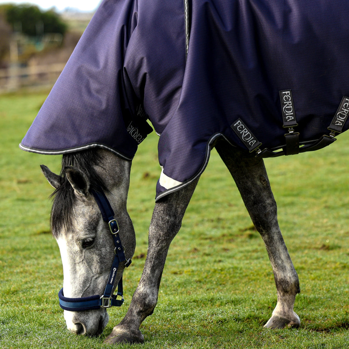 Ferdia Equine Chieftain 0g 1200D Ripstop Polyester Turnout Rug