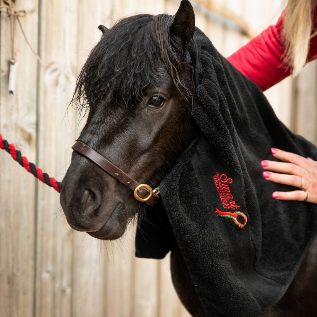 Smart Grooming Dry Off Towel