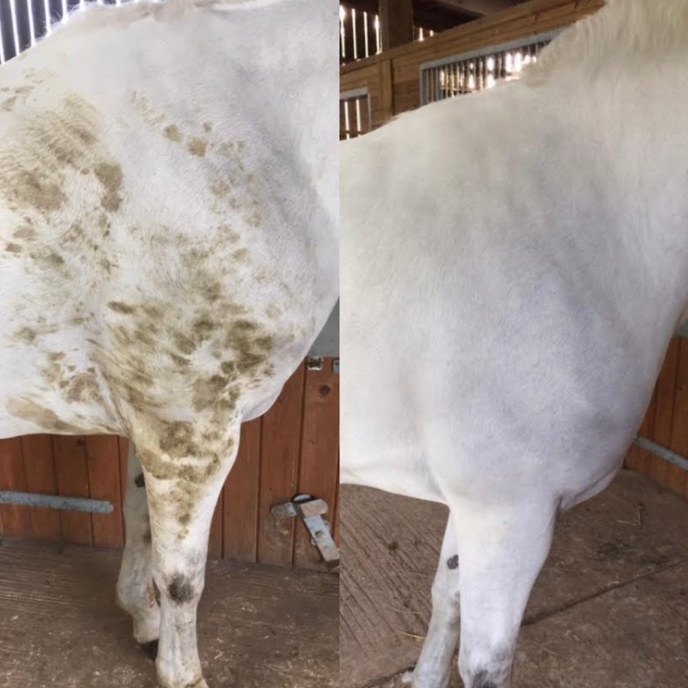 Smart Grooming Polar White Stain Remover #colour_white