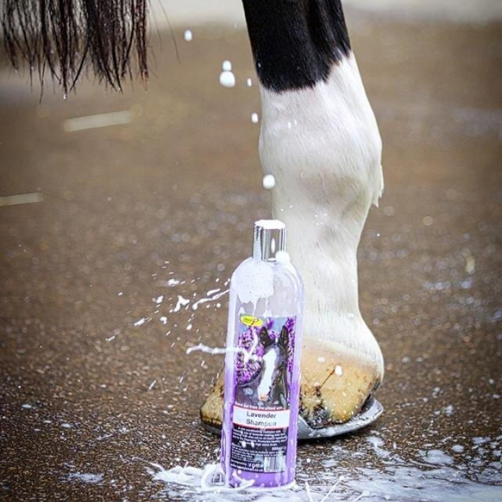 Smart Grooming Lavender Shampoo