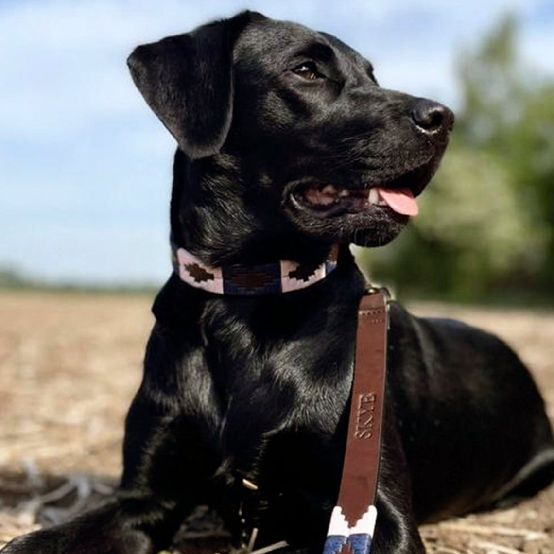 Pampeano Dog Lead #colour_hermoso