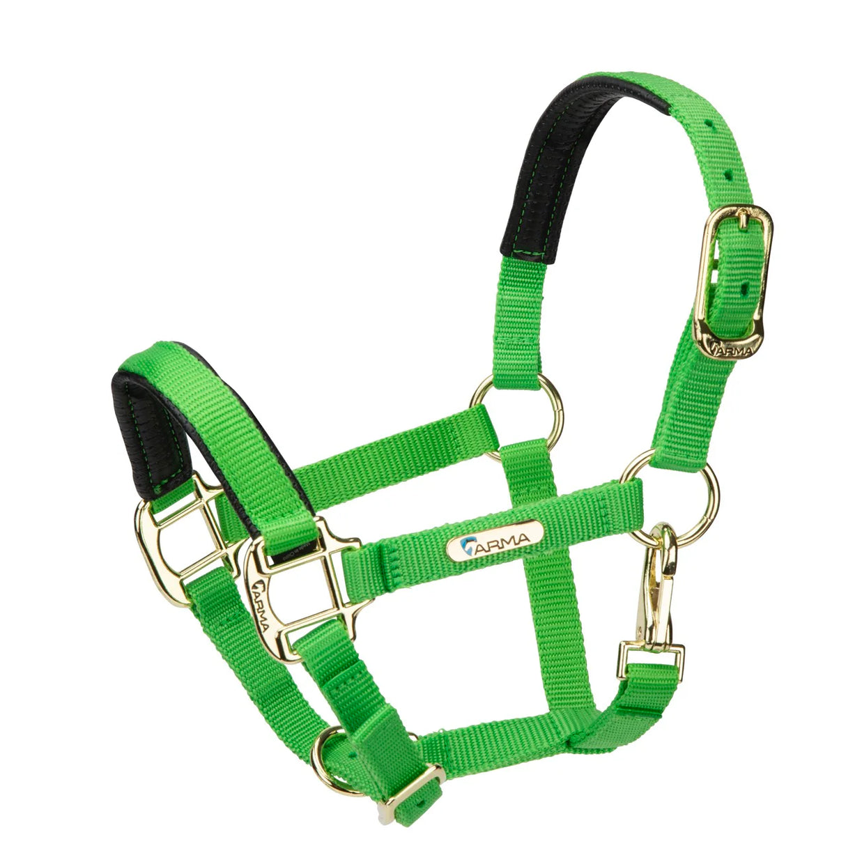 Shires Topaz Nylon Headcollar