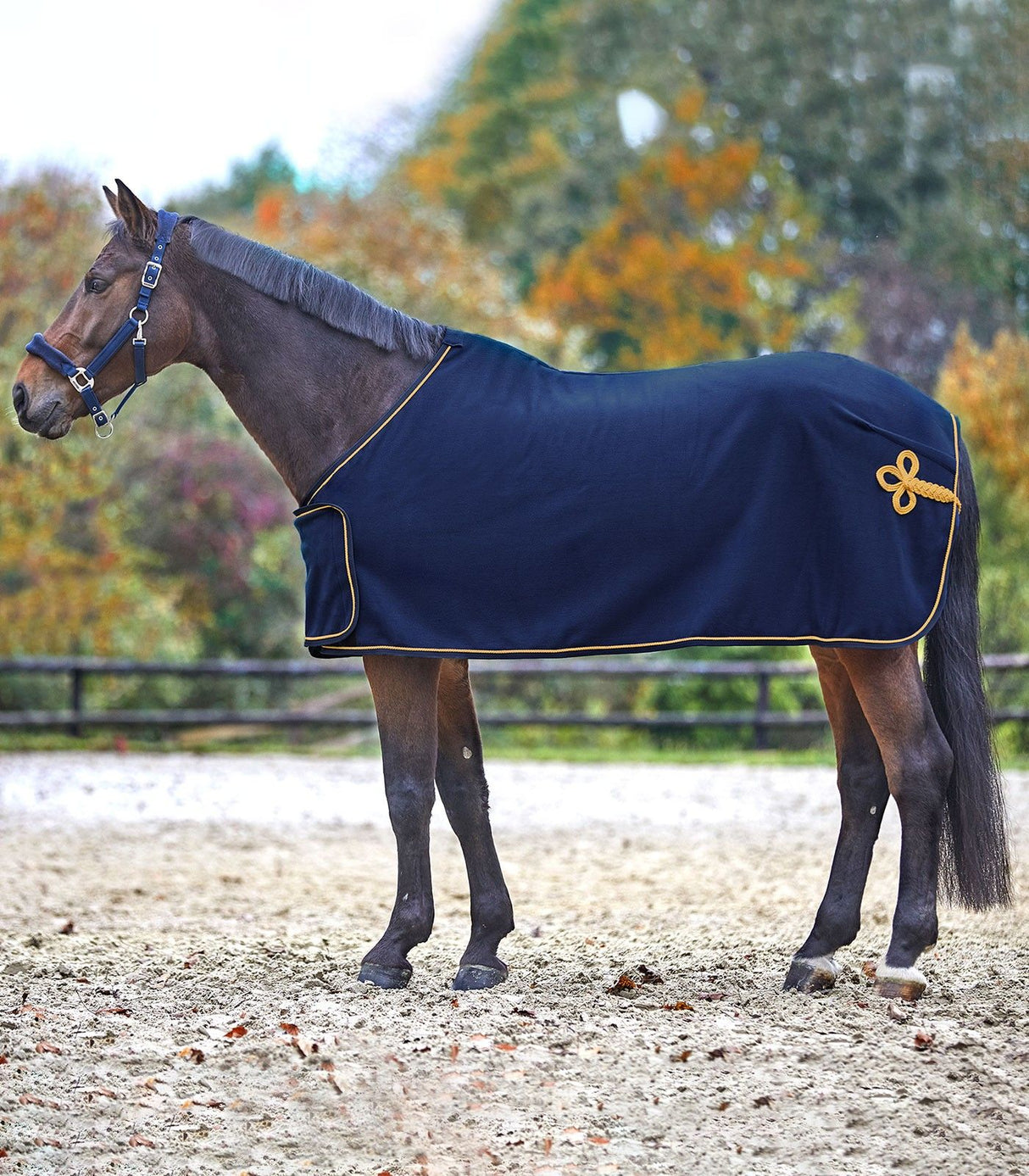 Waldhausen Fleece Sponsor Rug #colour_navy-gold