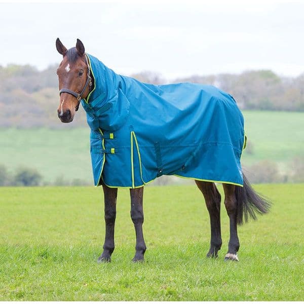 Ontario 100g Combo Turnout Rug #colour_teal