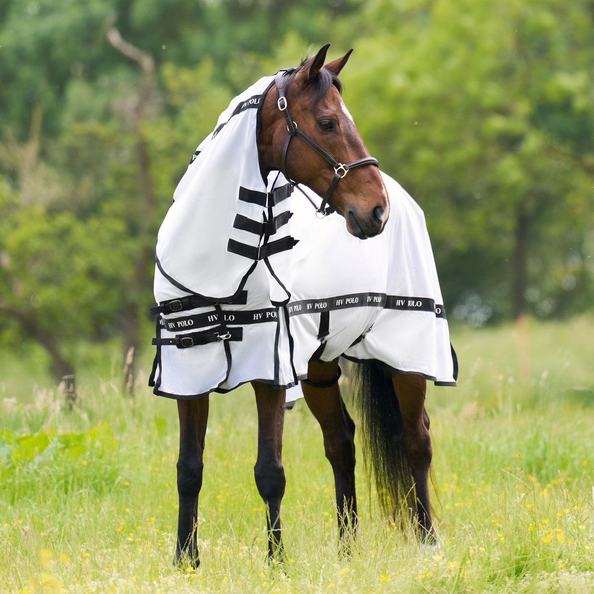 HV Polo Nena Fly Blanket
