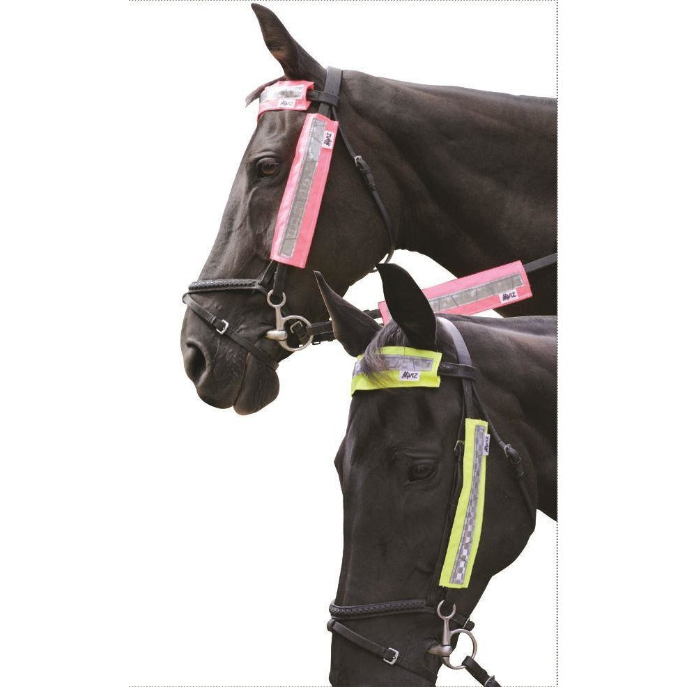 HyVIZ Bridle Set