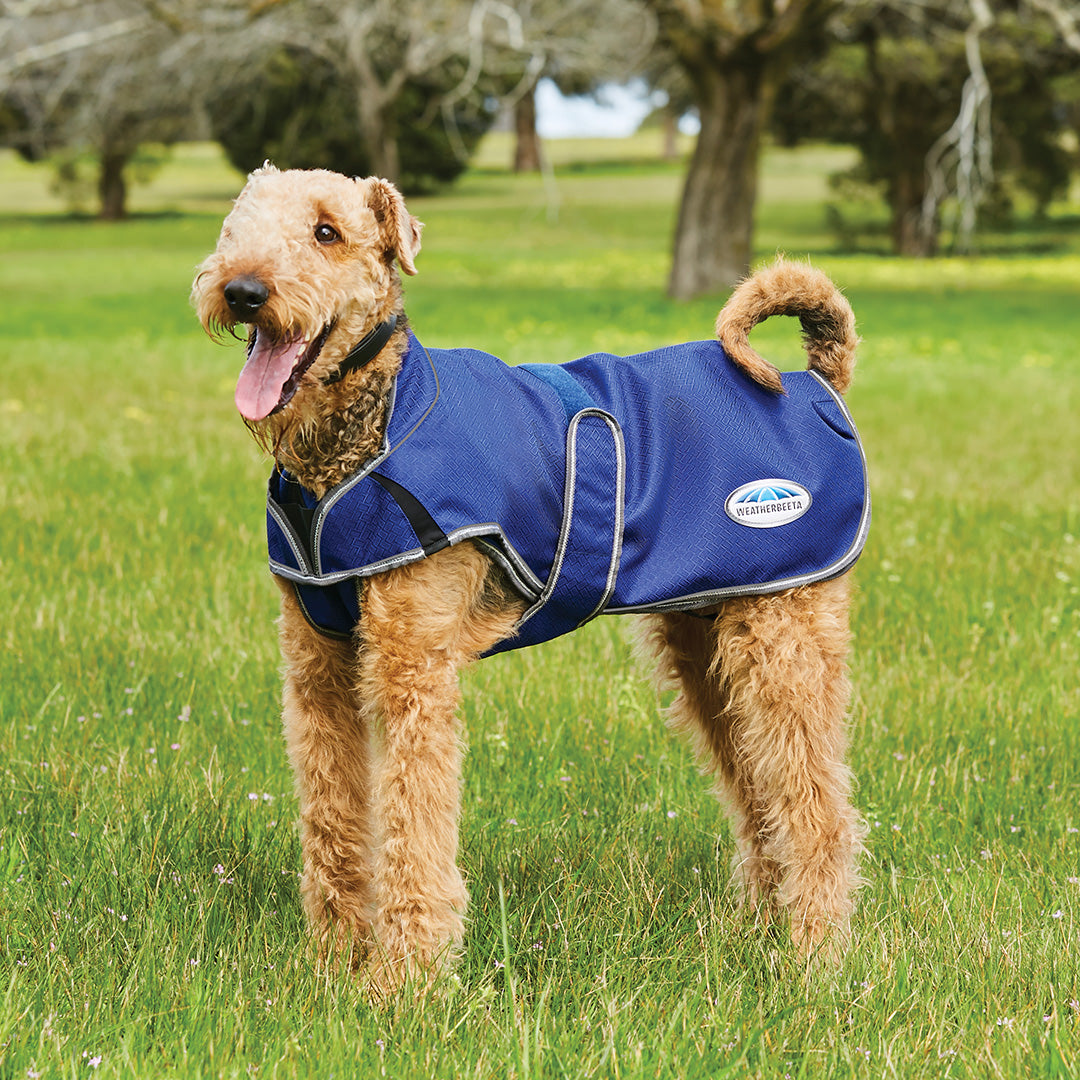 Weatherbeeta Comfitec Premier Free Duo Deluxe Parka Dog Coat #colour_dark-blue-grey-white