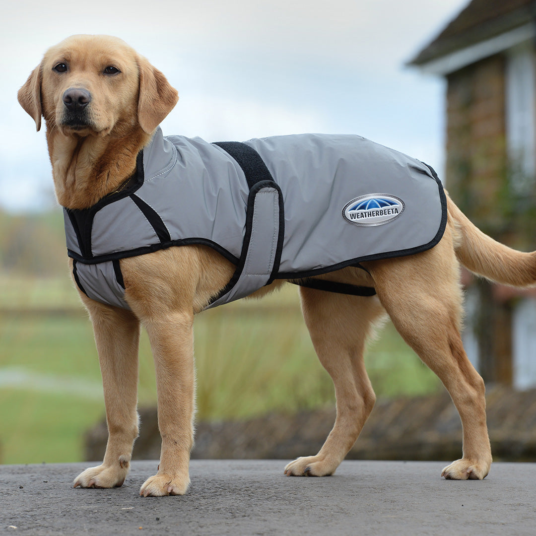 Weatherbeeta Comfitec Reflective Dog Coat Medium #colour_silver