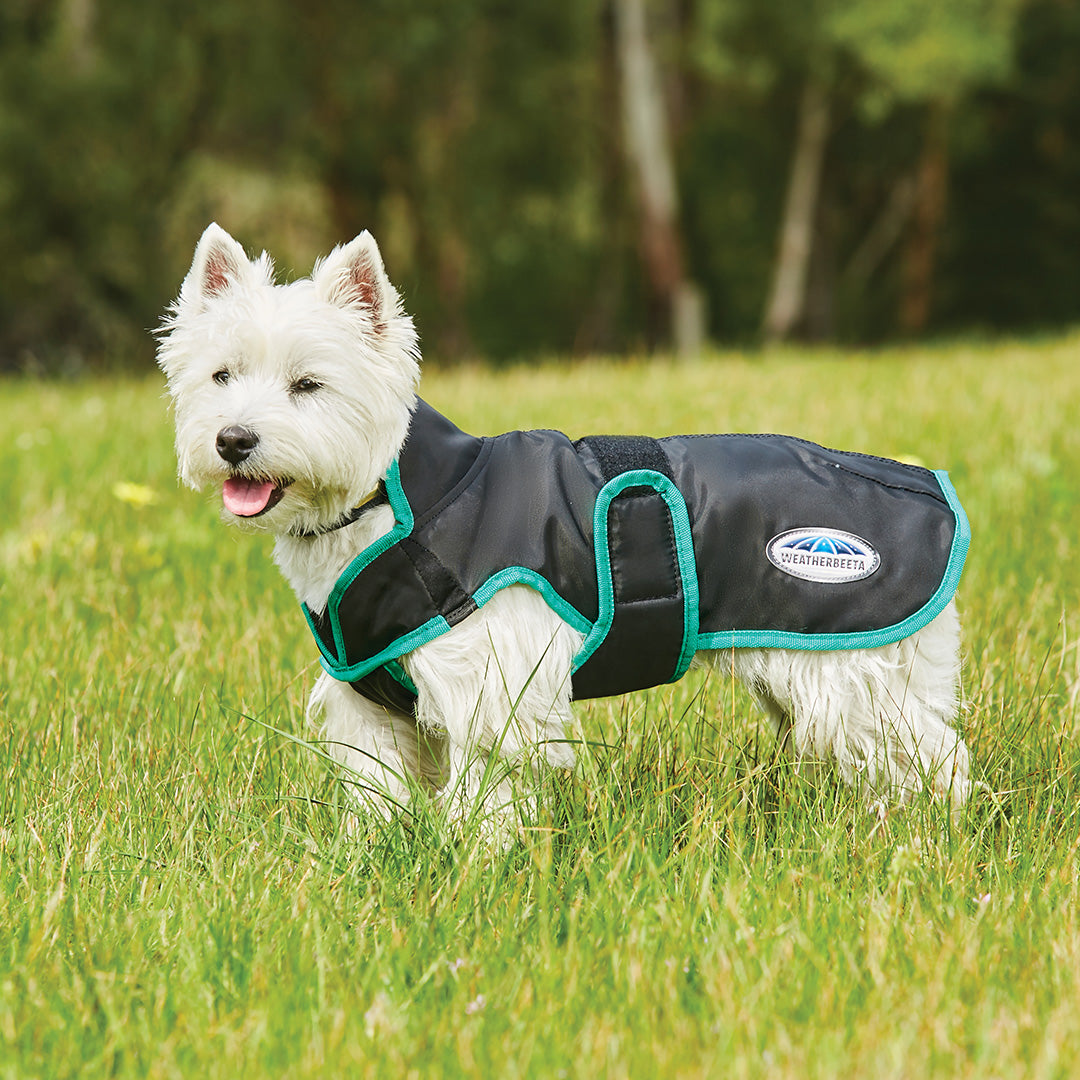 Weatherbeeta Comfitec Windbreaker Free Parka Deluxe Dog Coat #colour_black-green