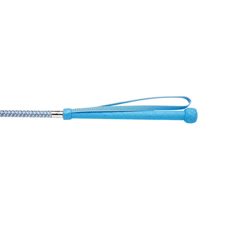 HySCHOOL Metallic Riding Whip