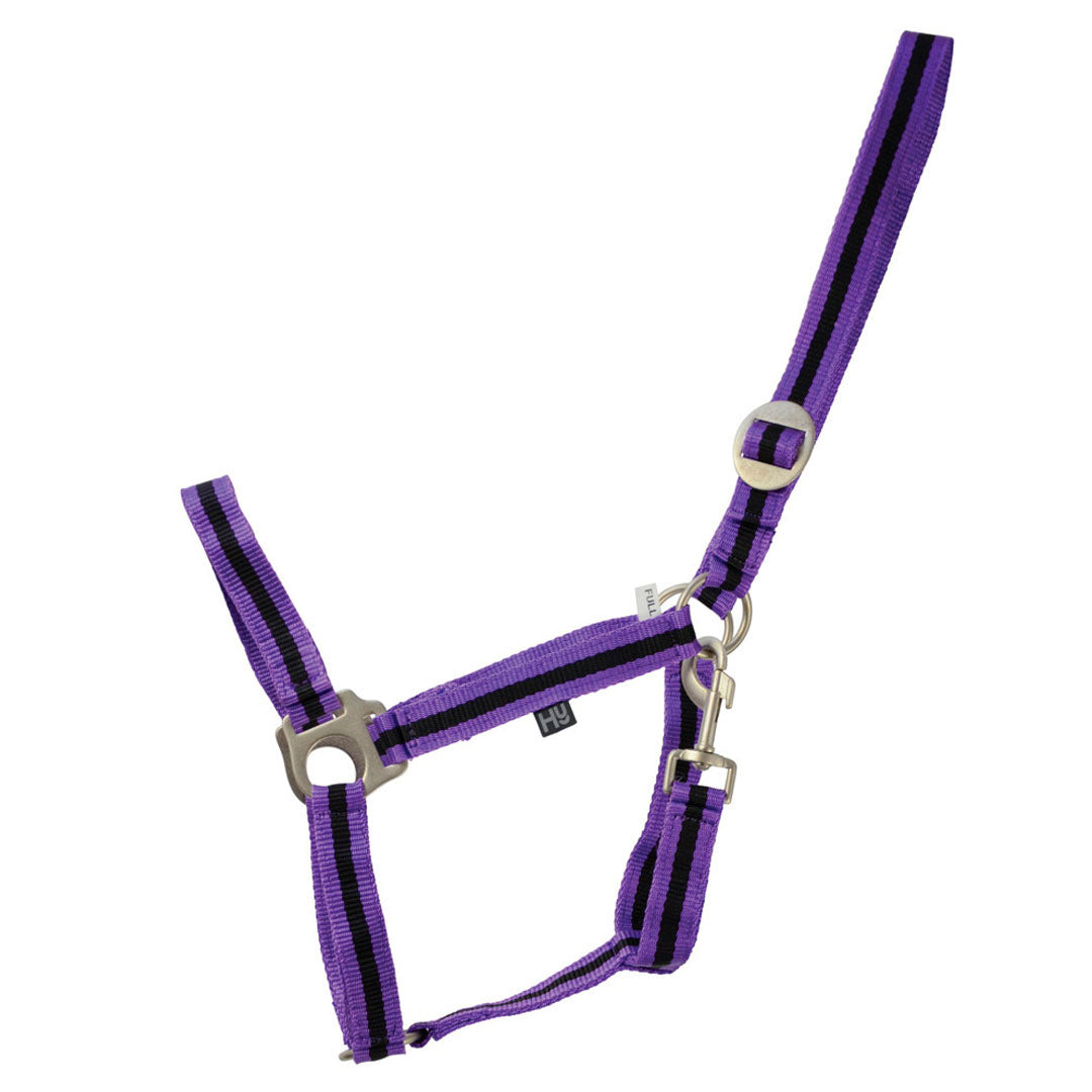 #colour_purple-black