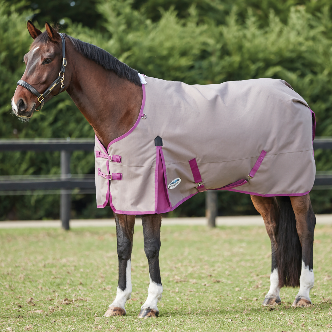 Weatherbeeta ComFiTec Essential Standard Neck Lite Plus Rug #colour_dark-grey-orchid