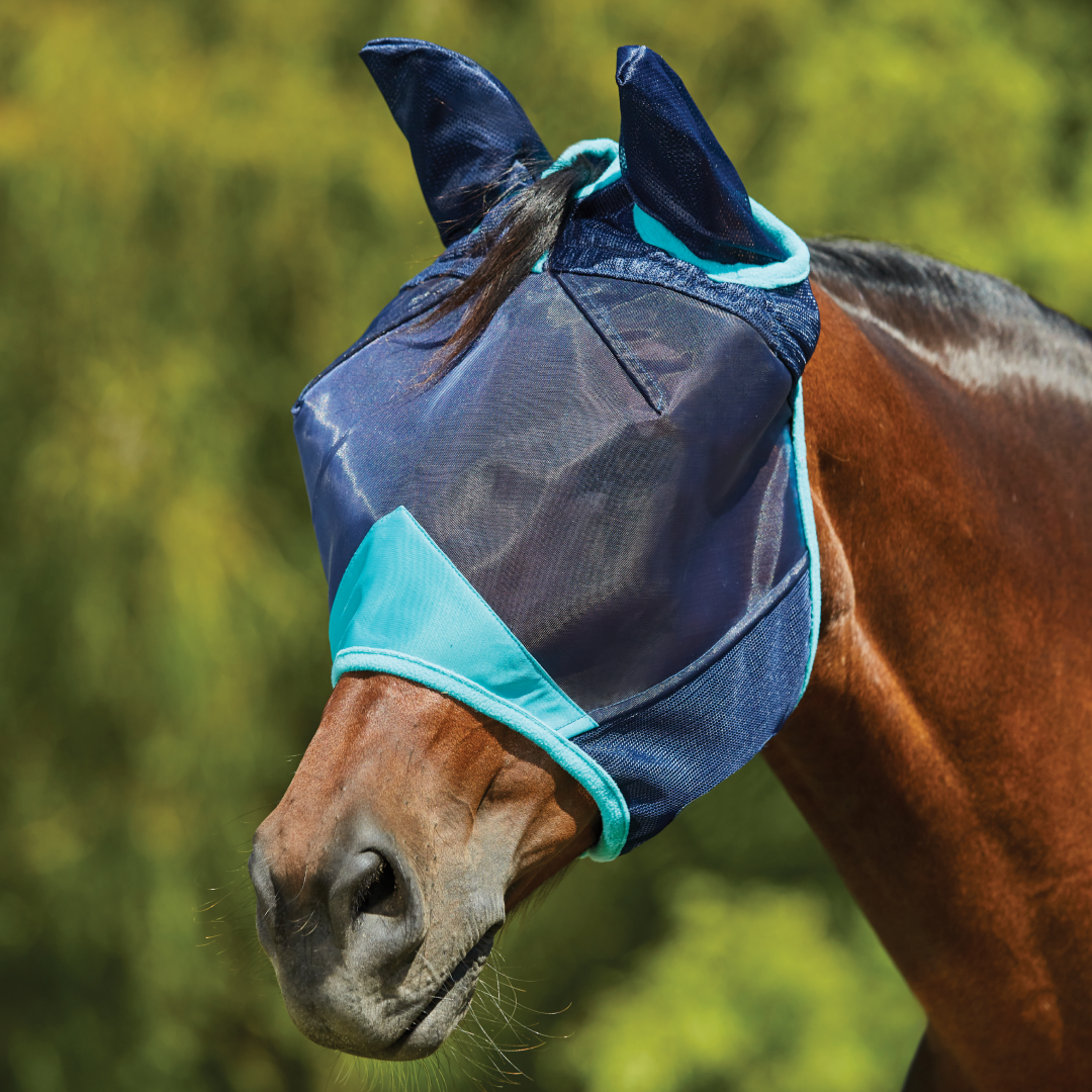 Weatherbeeta ComfiTec Deluxe Fine Mesh Mask With Ears #colour_navy-turquoise