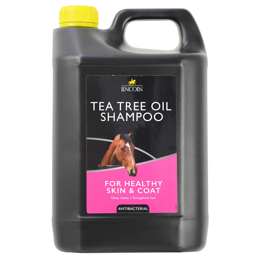 Lincoln Tea Tree Oil Shampoo
