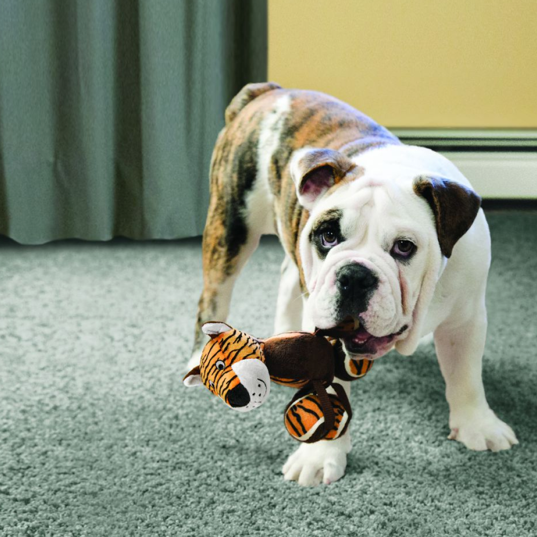 KONG TenniShoes Giraffe