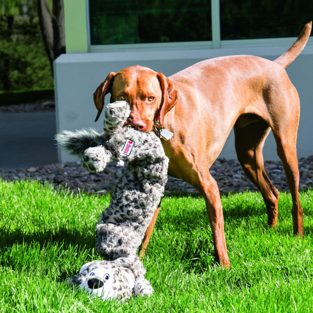 KONG Stretchezz Jumbo