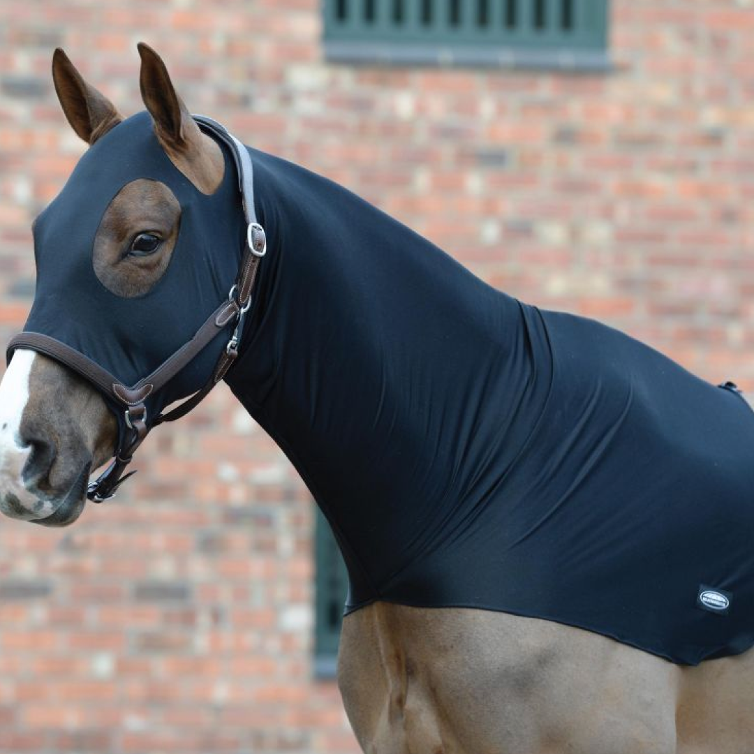 Weatherbeeta Stretch Hood #colour_black