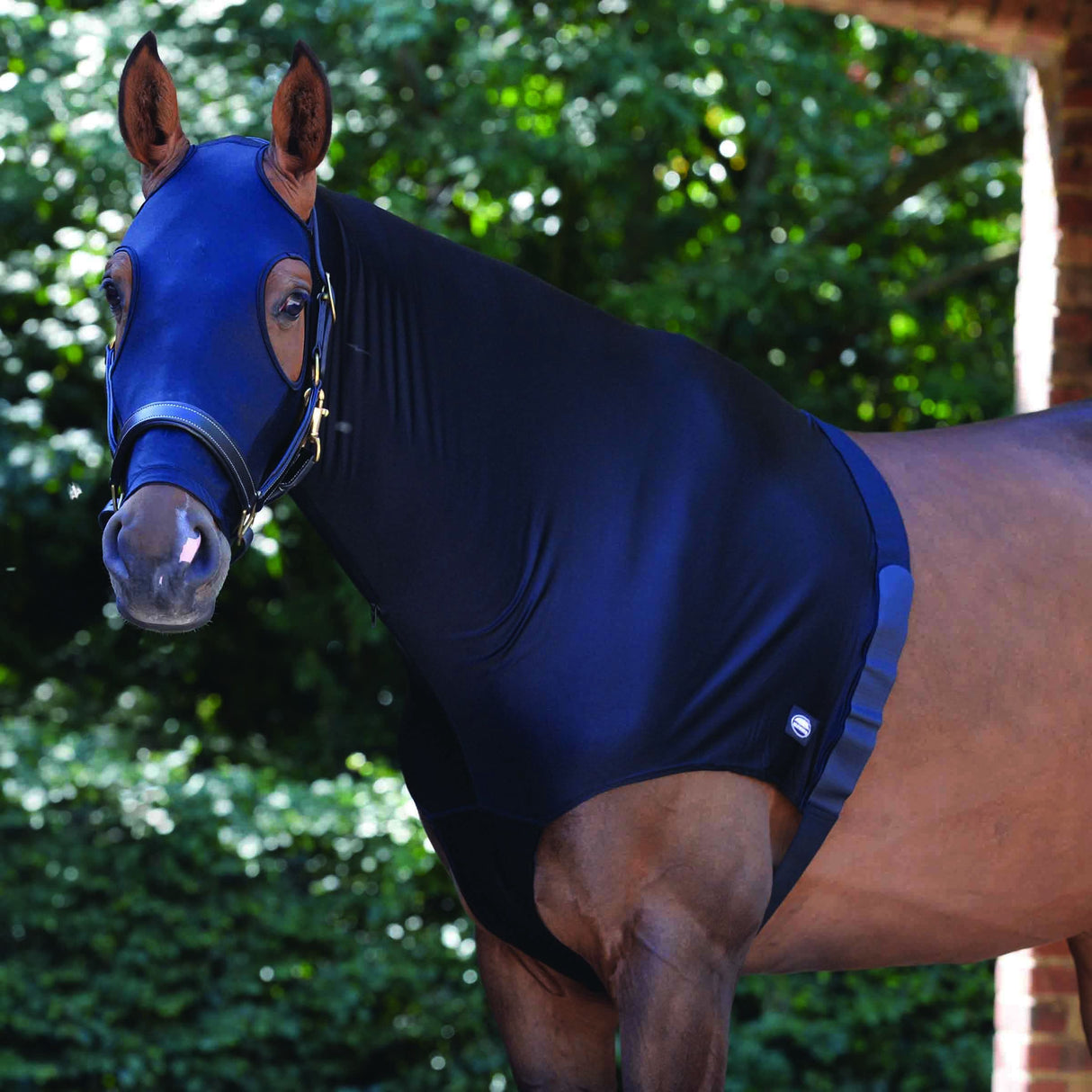 Weatherbeeta Stretch Hood With Zip #colour_black