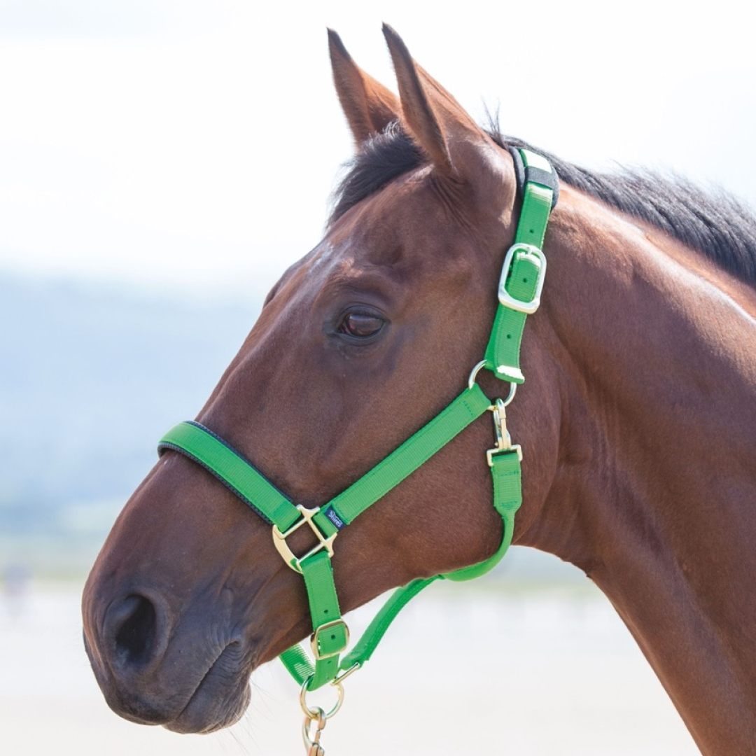 Shires Topaz Nylon Headcollar #colour_green