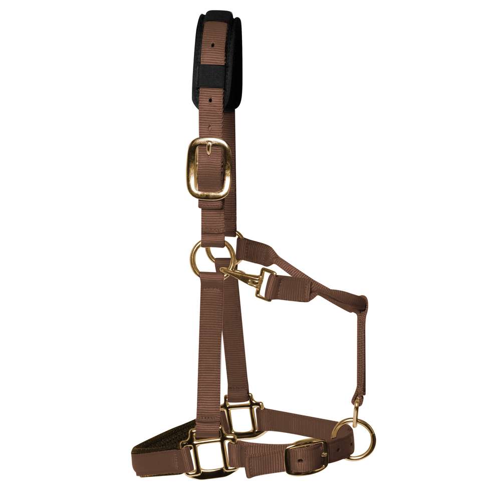 KM Elite Padded Headcollar #colour_brown