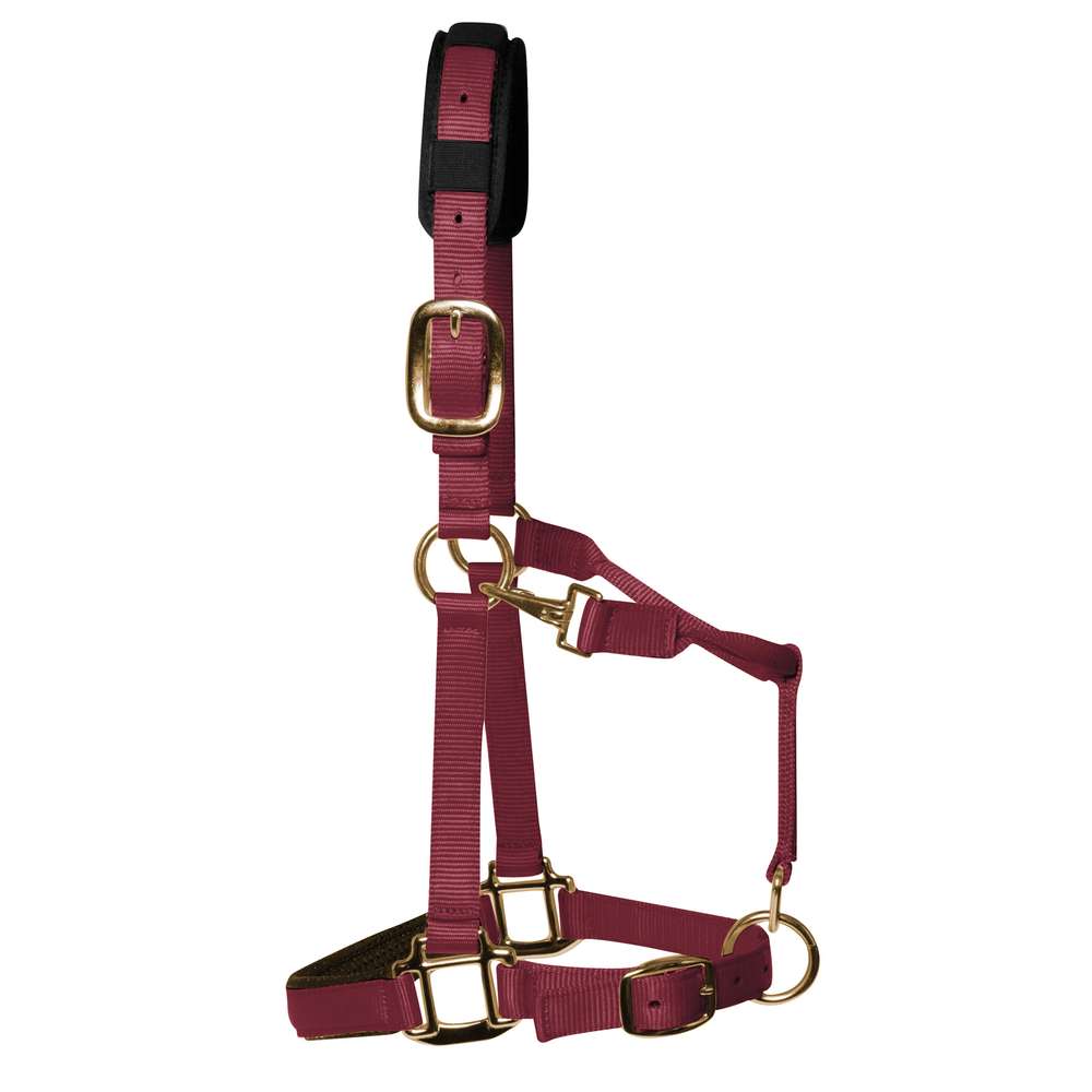 KM Elite Padded Headcollar #colour_burgundy