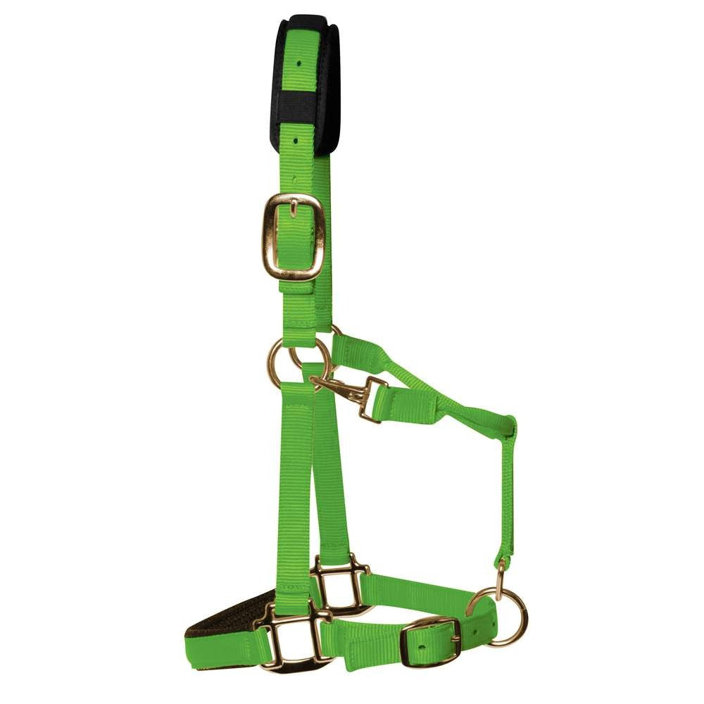 KM Elite Padded Headcollar #colour_hot-green