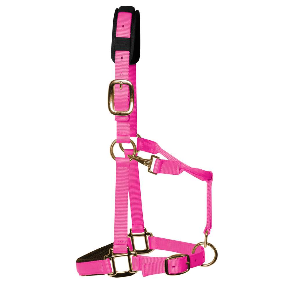 KM Elite Padded Headcollar #colour_hot-pink